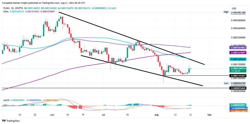 Floki Price Analysis 21 Aug 2024