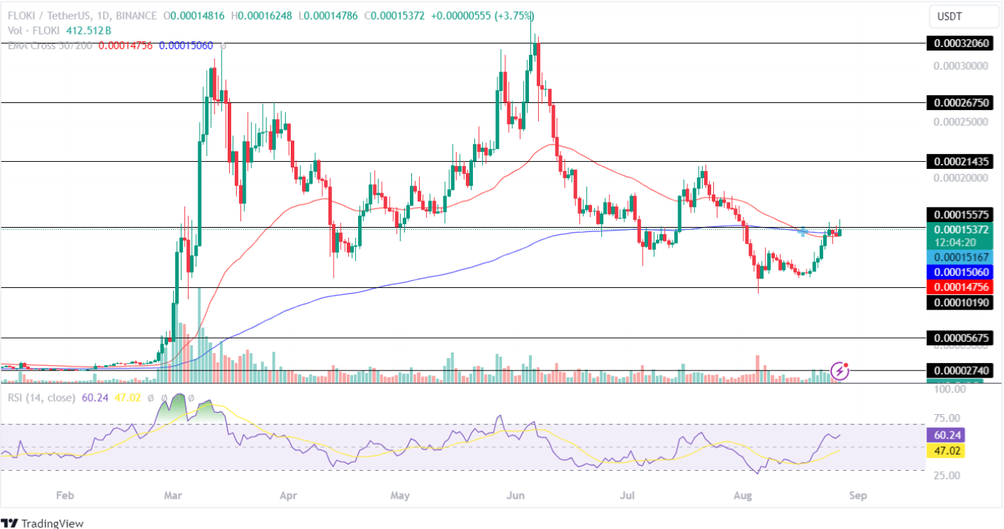 FLOKI Price Analysis 27th Aug 2024