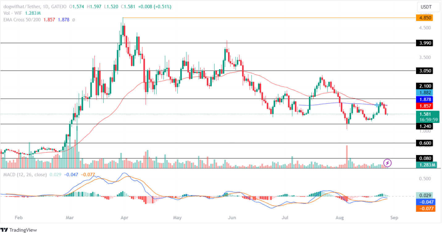 WIF Price Analysis 28th aug 2024