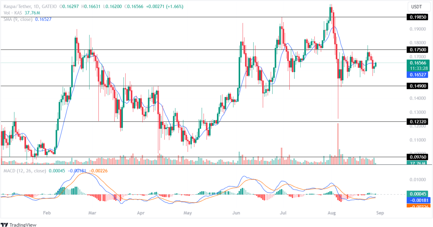 Kaspa Price Analysis 29th Aug 2024