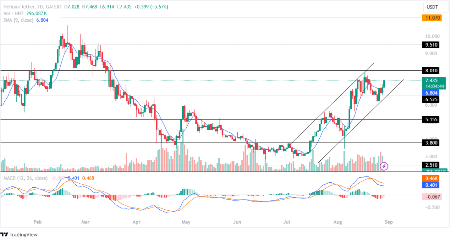 HNT price analysis 29th aug 2024