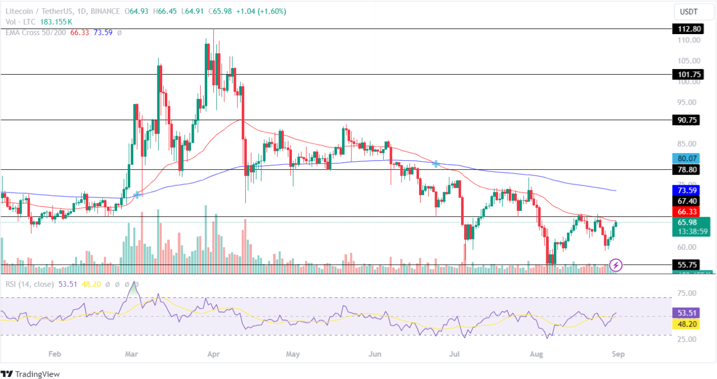 Litecoin Price Analysis