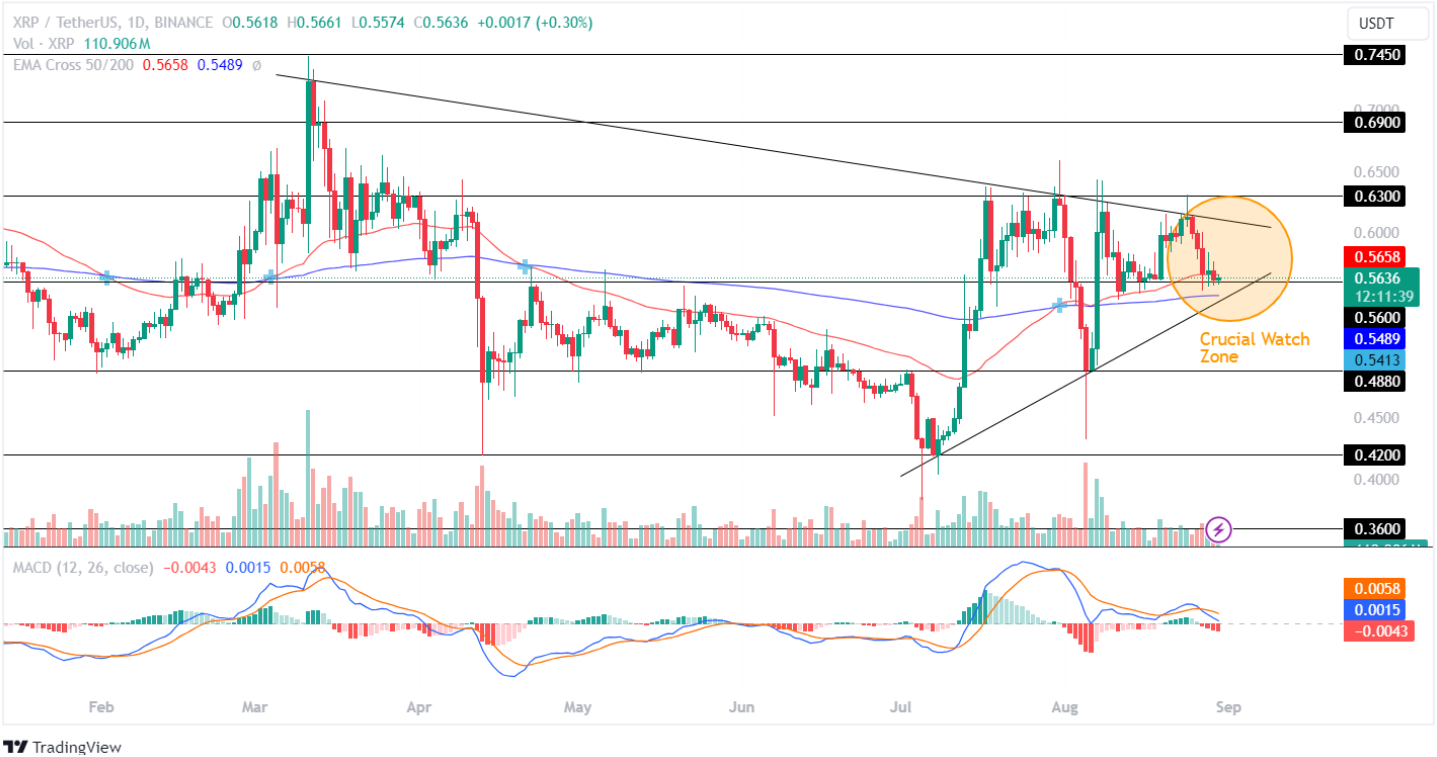 XRP Price Analysis 30th Aug 2024