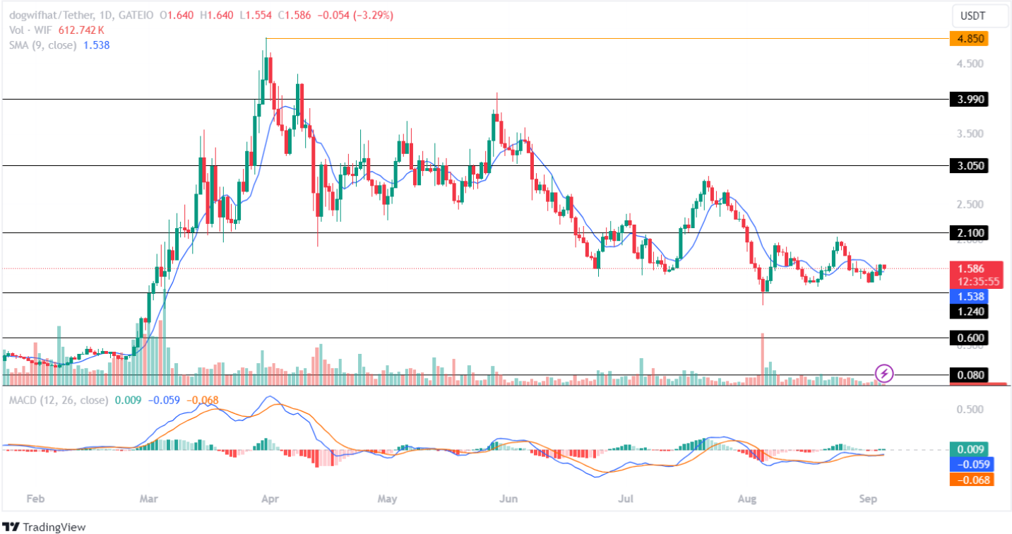 WIF Price Analysis September 2024