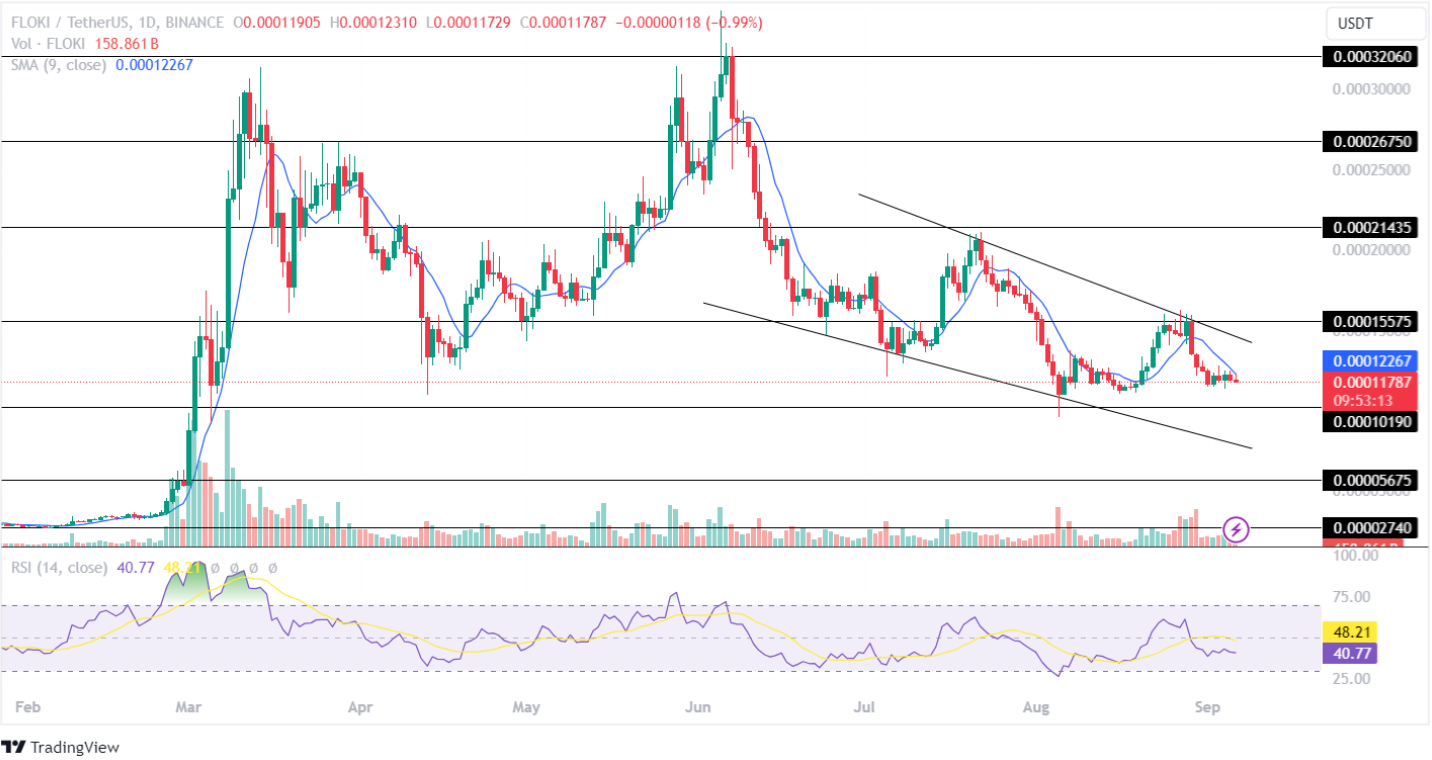 Floki Price Analysis September 2024