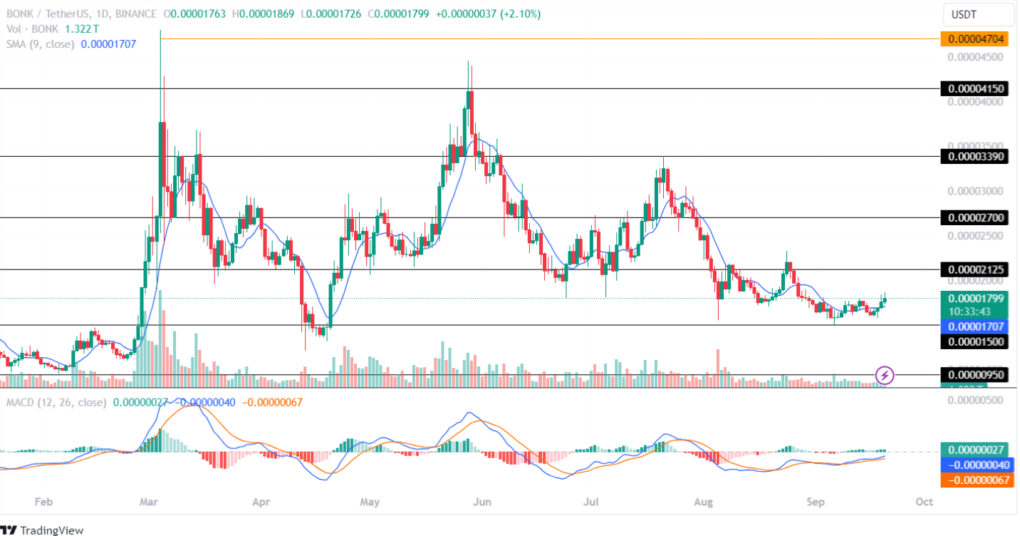 Bonk Price Analysis September 2024