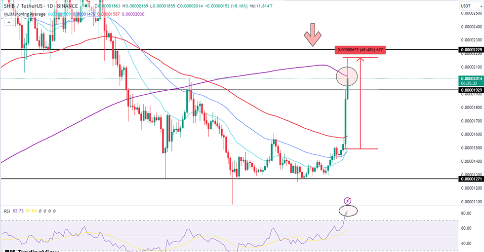 shiba-inu-daily-chart