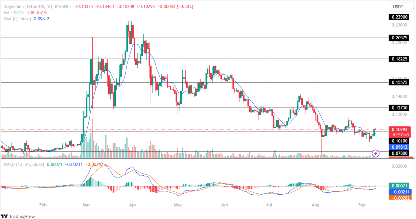 Dogecoin Price Analysis 10th September 2024