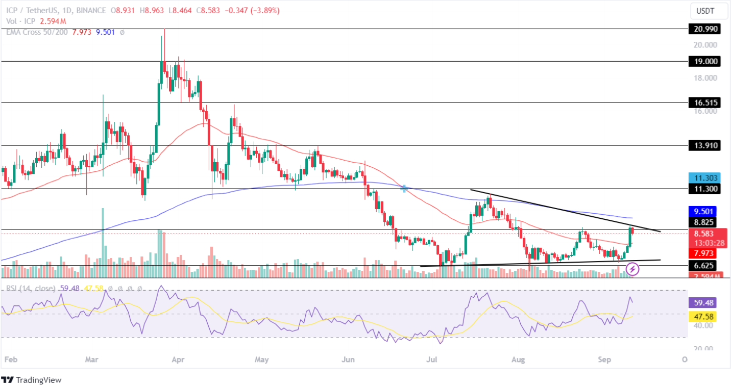 Internet Computer Price Analysis September 2024