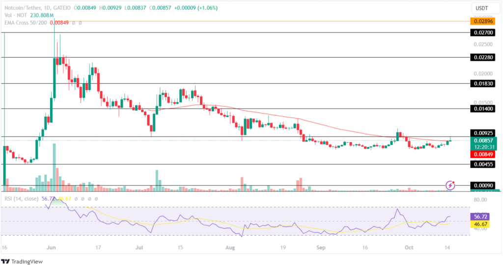 Notcoin Price Analysis 15th Oct 2024