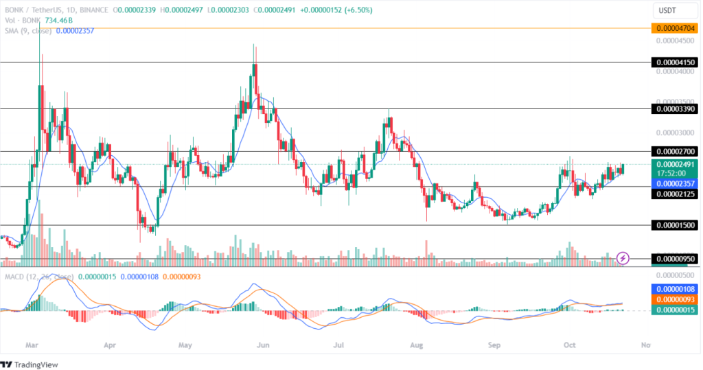 BONK Price Analysis 22nd October 2024