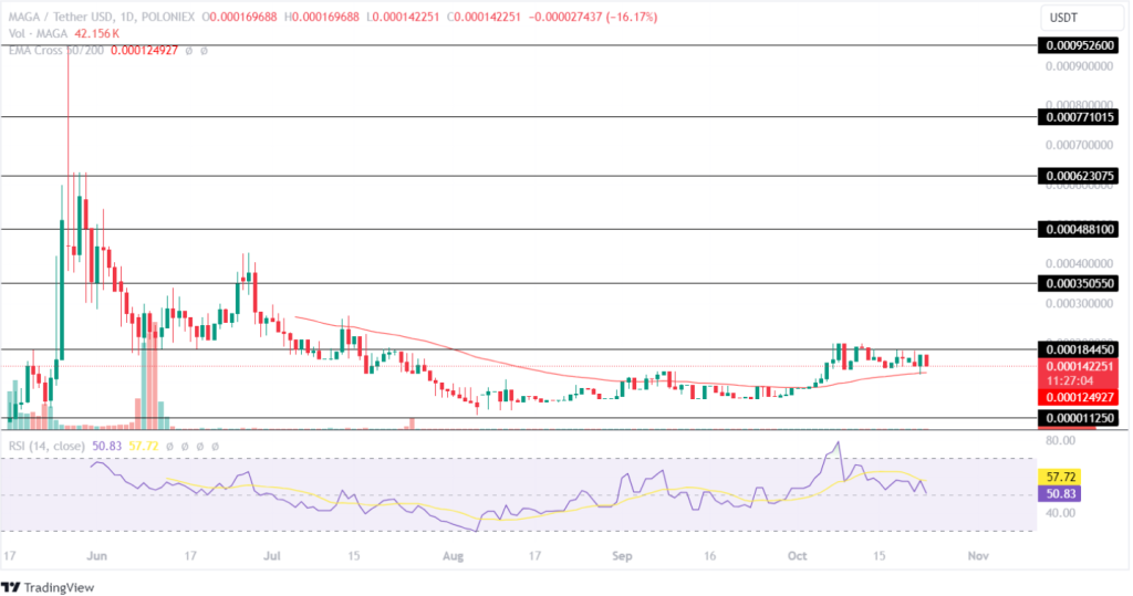 MAGA Price Analysis 23rd October 2024