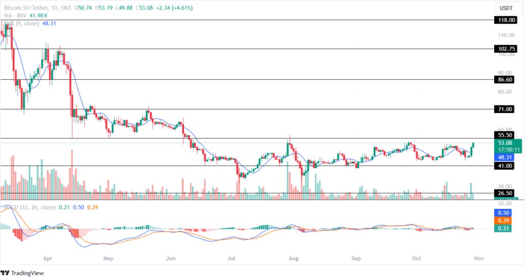 Bitcoin SV Price Analysis 29th October 2024