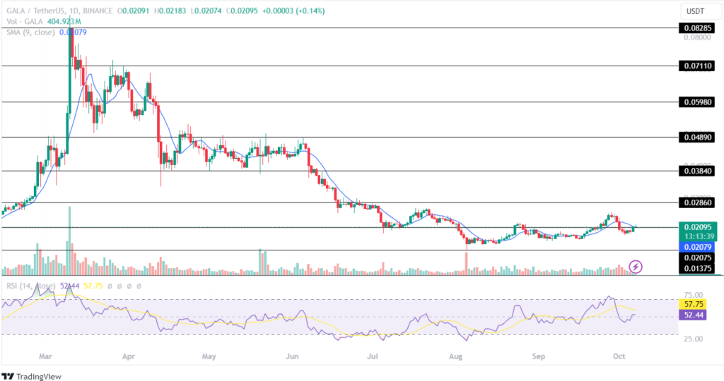 Gala Price Prediction 07th October 2024