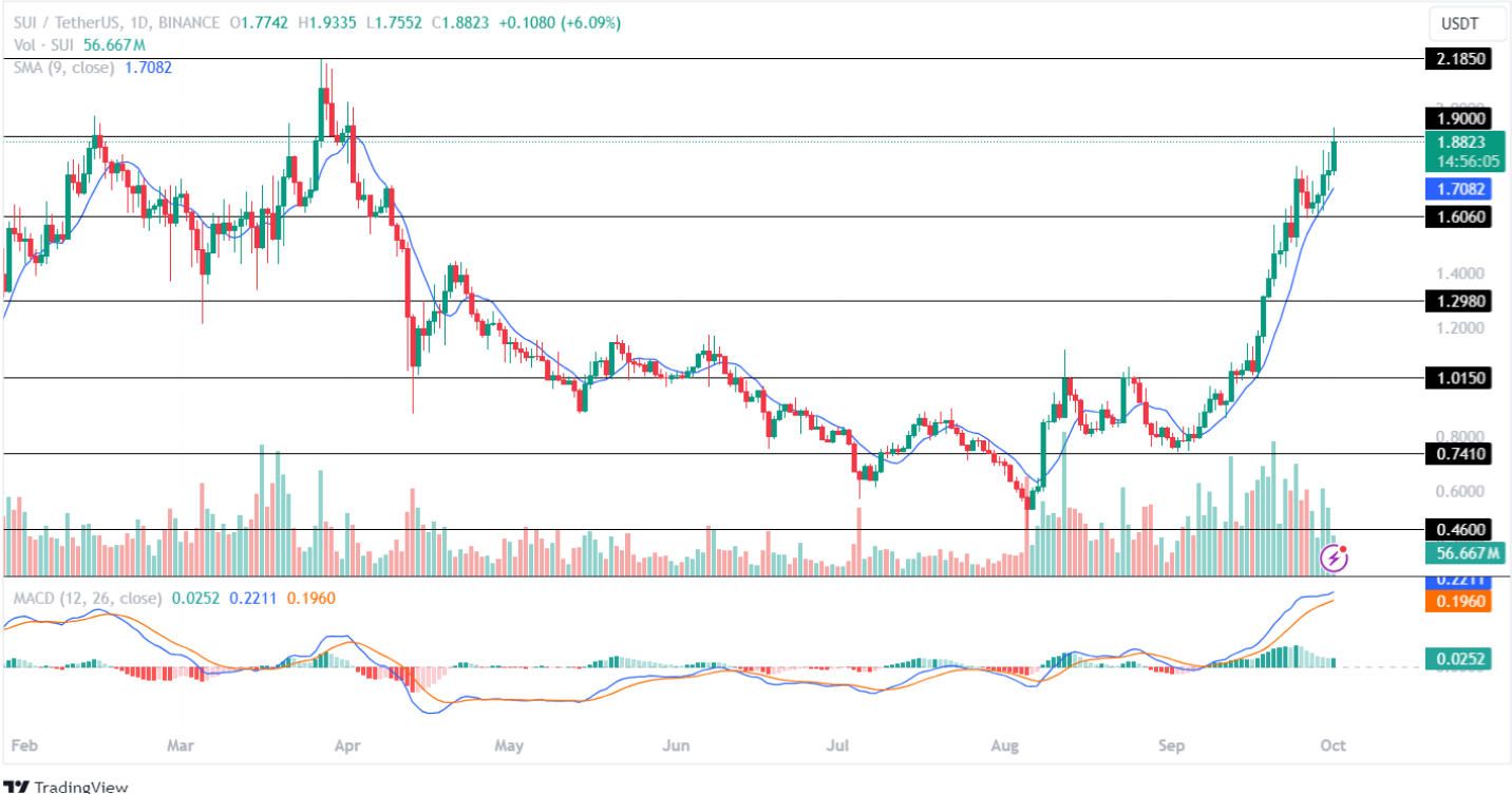 Sui Price Analysis 1st Oct 2024