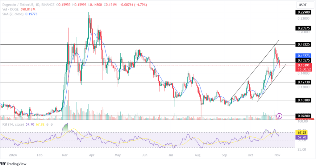 Dogecoin Price Analysis 03rd November 2024