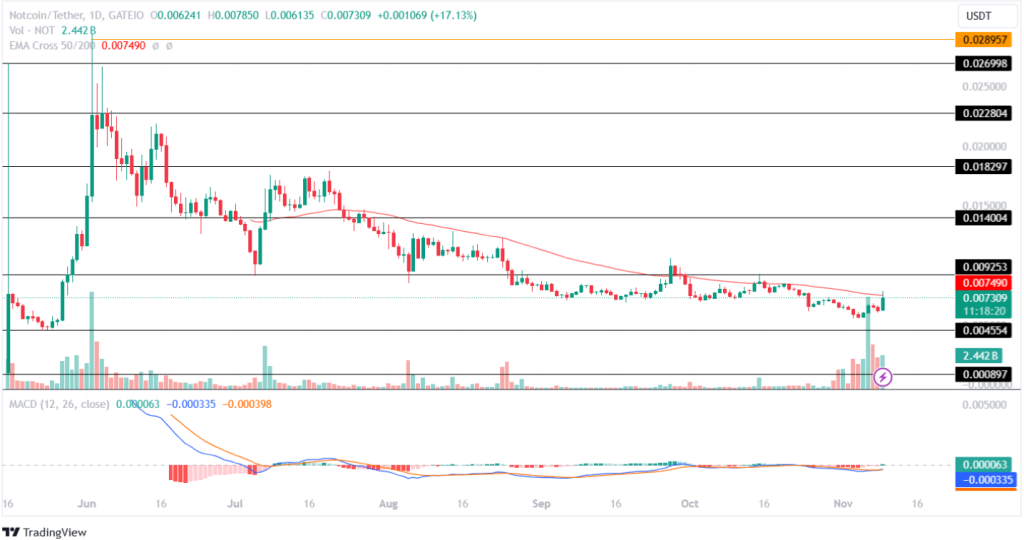 Notcoin Price Analysis 09th November 2024