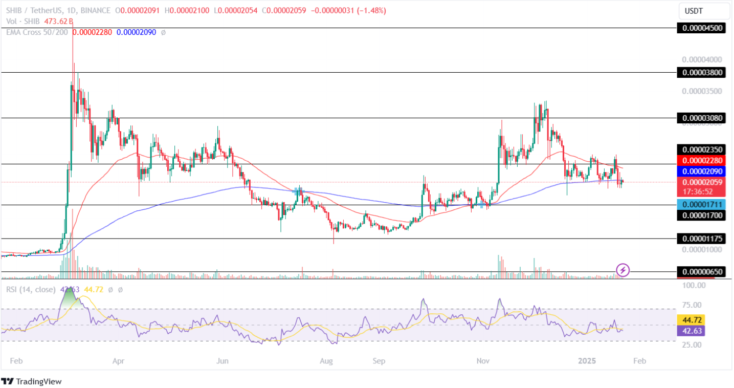 Shiba Inu Price Analysis 22nd January 2025