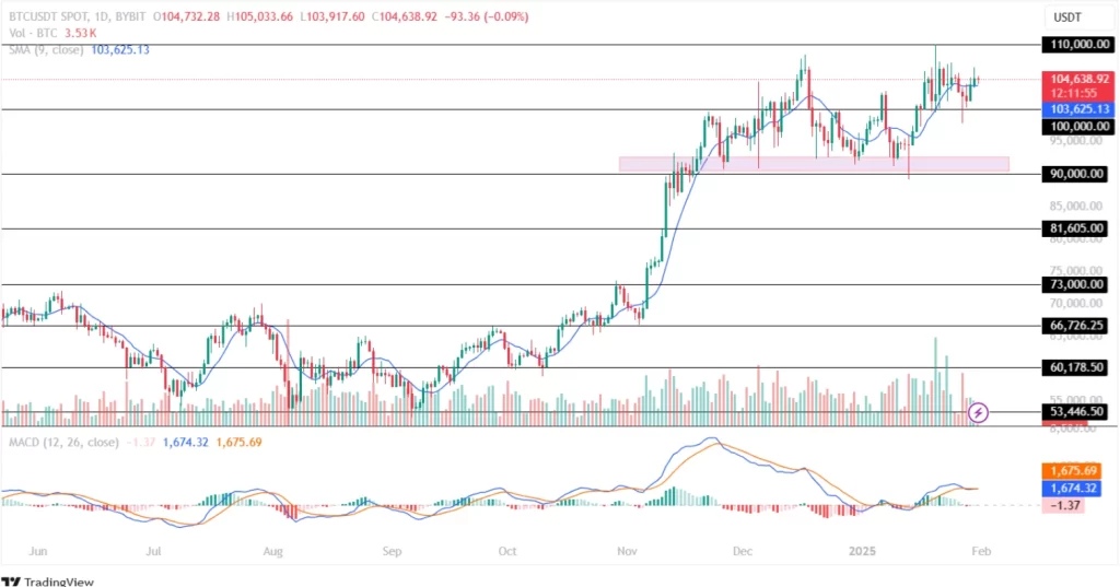 BTC Price Analysis 31st Jan 2025