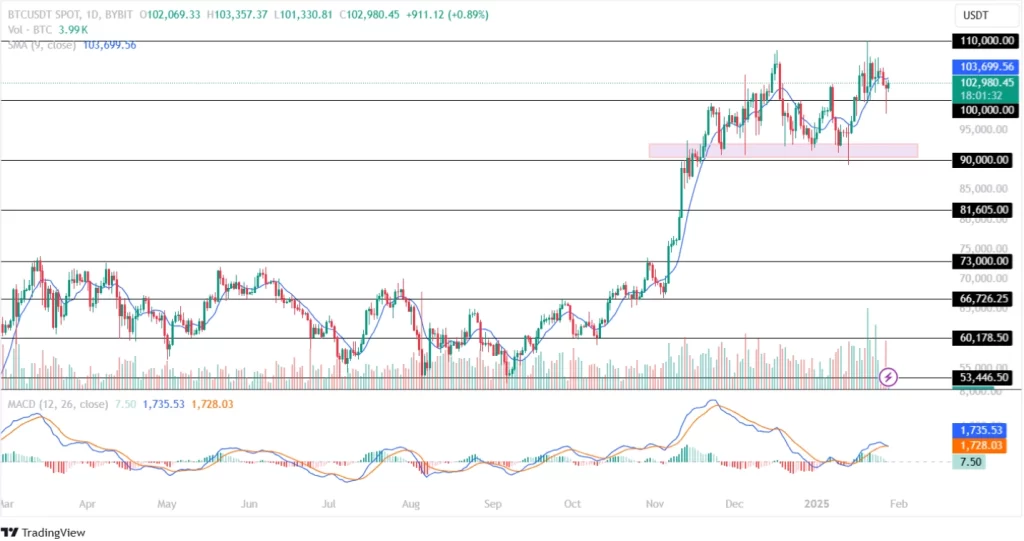 Bitcoin Price Analysis 28th January 2025