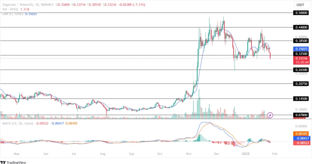 Dogecoin Price Analysis 27th January 2025