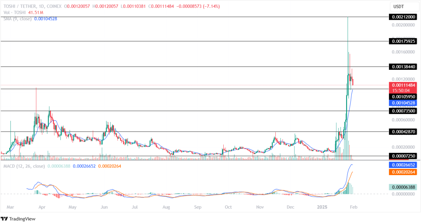 Toshi Price Analysis 31st January 2025