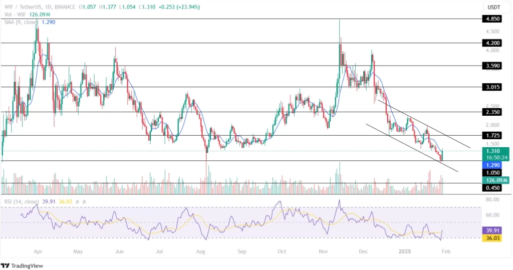 WIF Price Analysis 29th Jan 2025