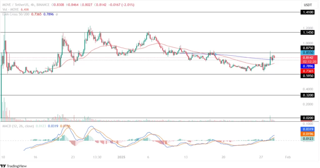 Movement Price Analysis 29th January 2025