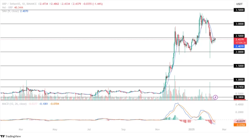 Ripple Price Analysis 13th February 2025