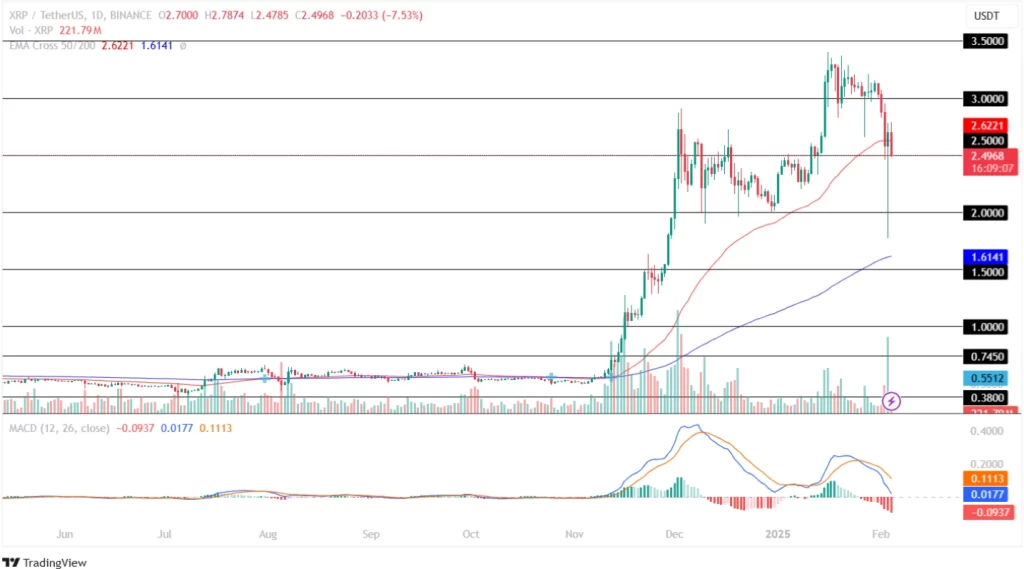 Ripple Price Analysis 04th February 2025