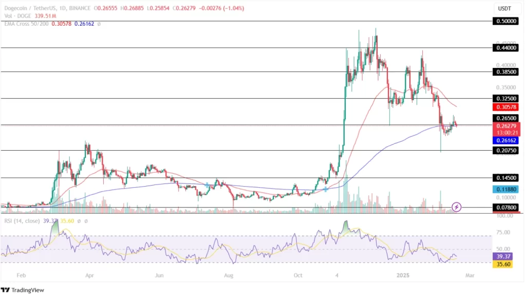 Dogecoin Price Analysis 17th February 2025