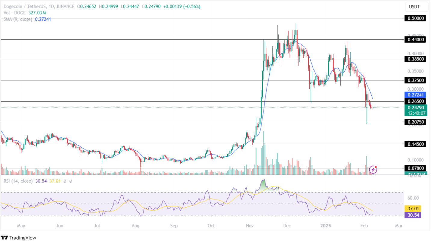 Dogecoin Price Analysis 08th February 2025