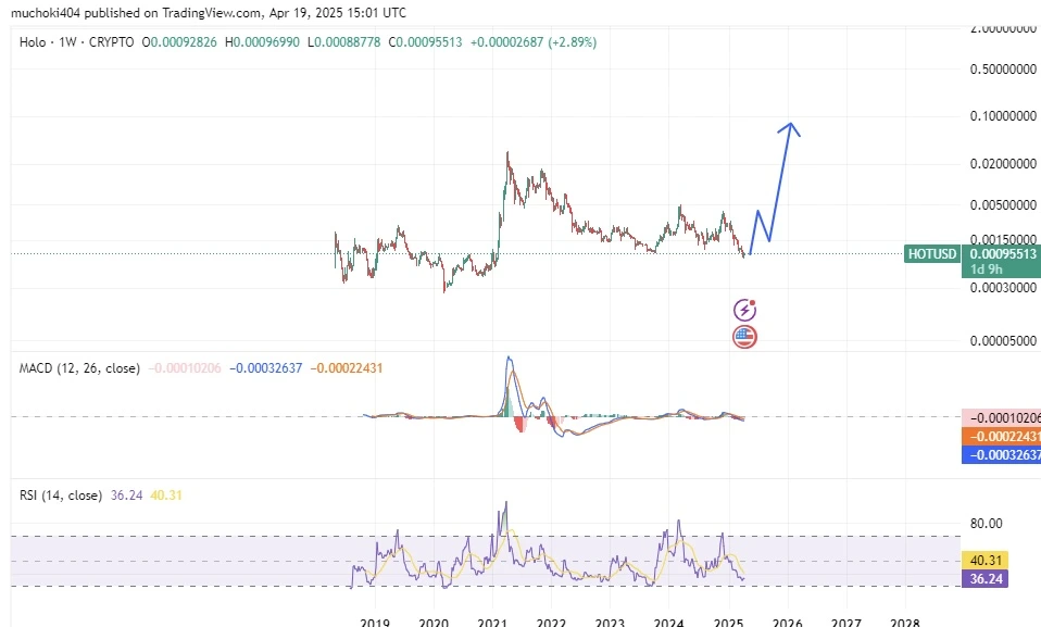 Holo Price Prediction 2025
