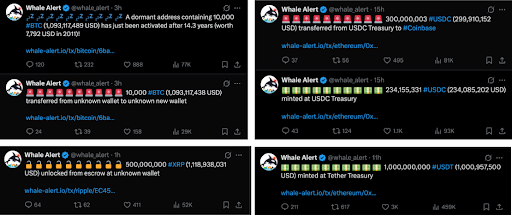 Massive Whale Transfer Sparks Buzz as Bitcoin Eyes New ATH—Will BTC