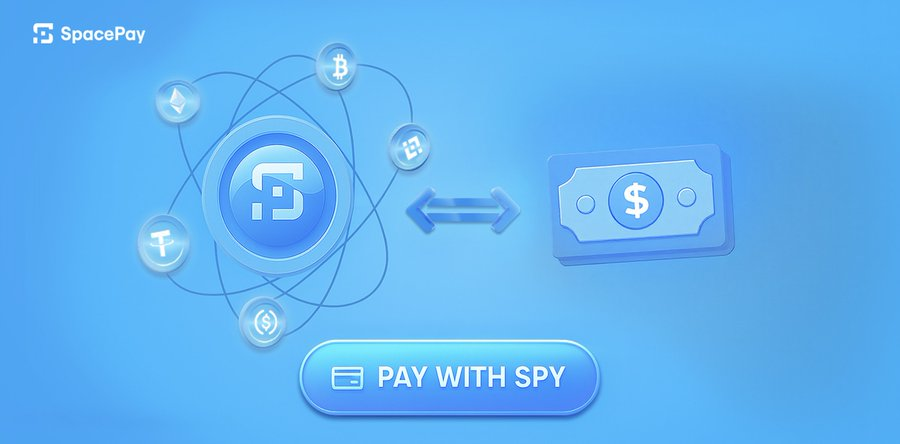 pay-with-spacepay