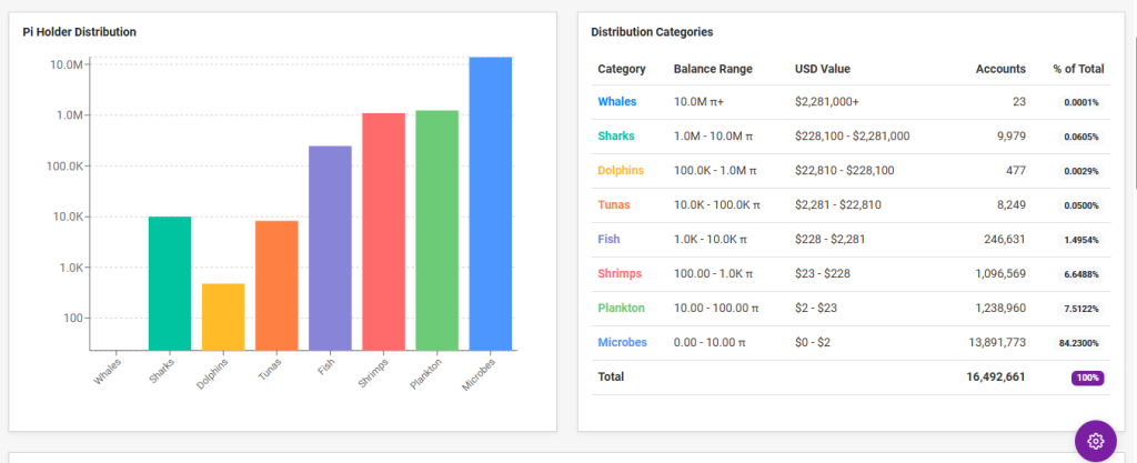 Pi Coin On Chain Data