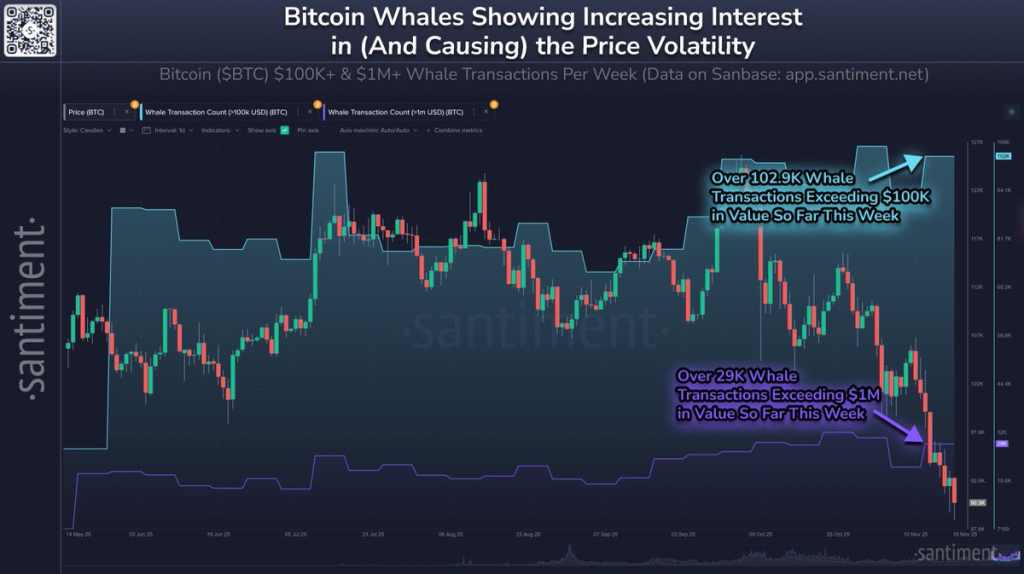 Bitcoin Whales