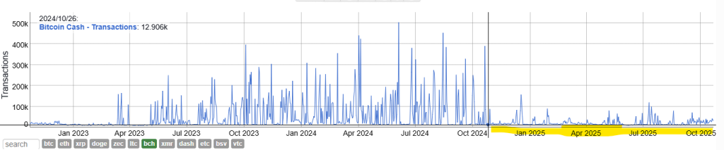 Bitcoin Cash Transation 2024